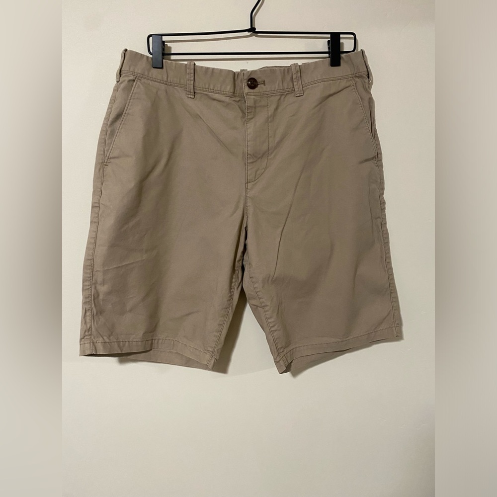 Express Classic Fit Shorts